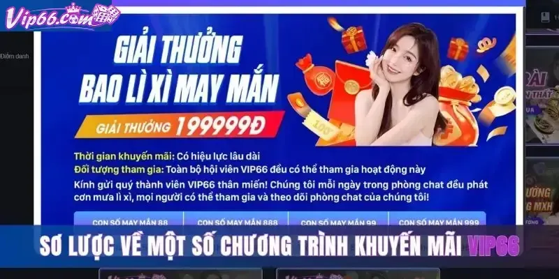 Hướng dẫn chi tiết cho người mới