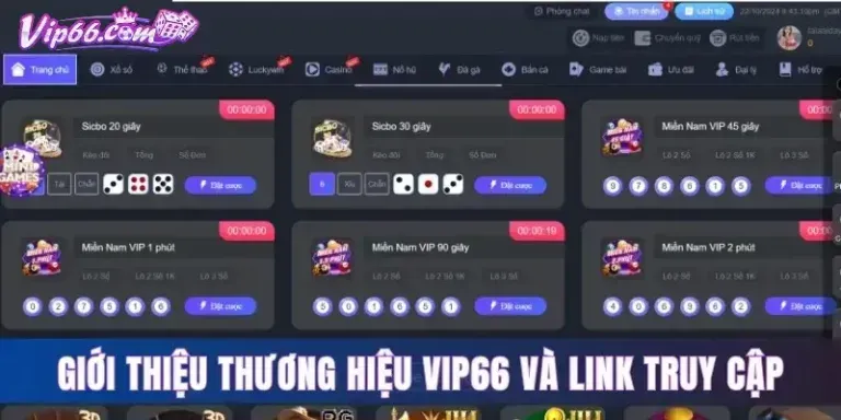Các chương trình khuyến mãi và phúc lợi cho thành viên của VIP66