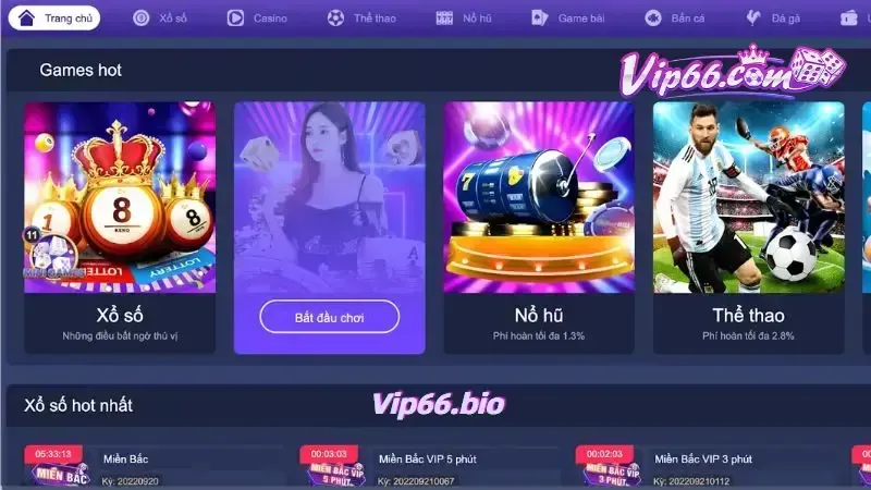 Điểm Qua Các Hoạt Động Khuyến Mãi Nóng Nhất Của VIP66