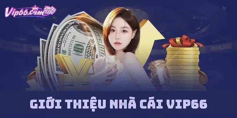 Làm thế nào để bắt đầu trải nghiệm giải trí hiệu quả sau khi đăng ký