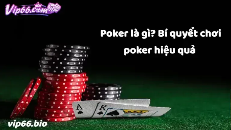 Khuyến Nghị Các Hành Động Quan Trọng